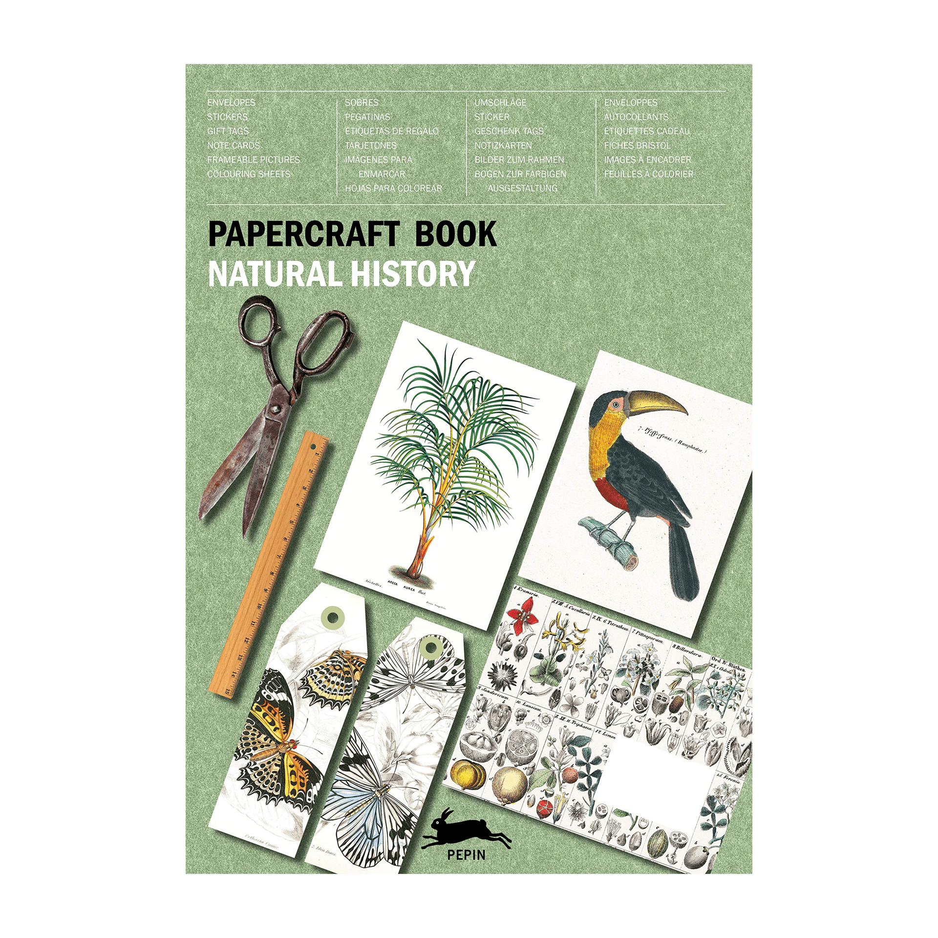 Pepin Press DIY Paper Craft Book - Natural History