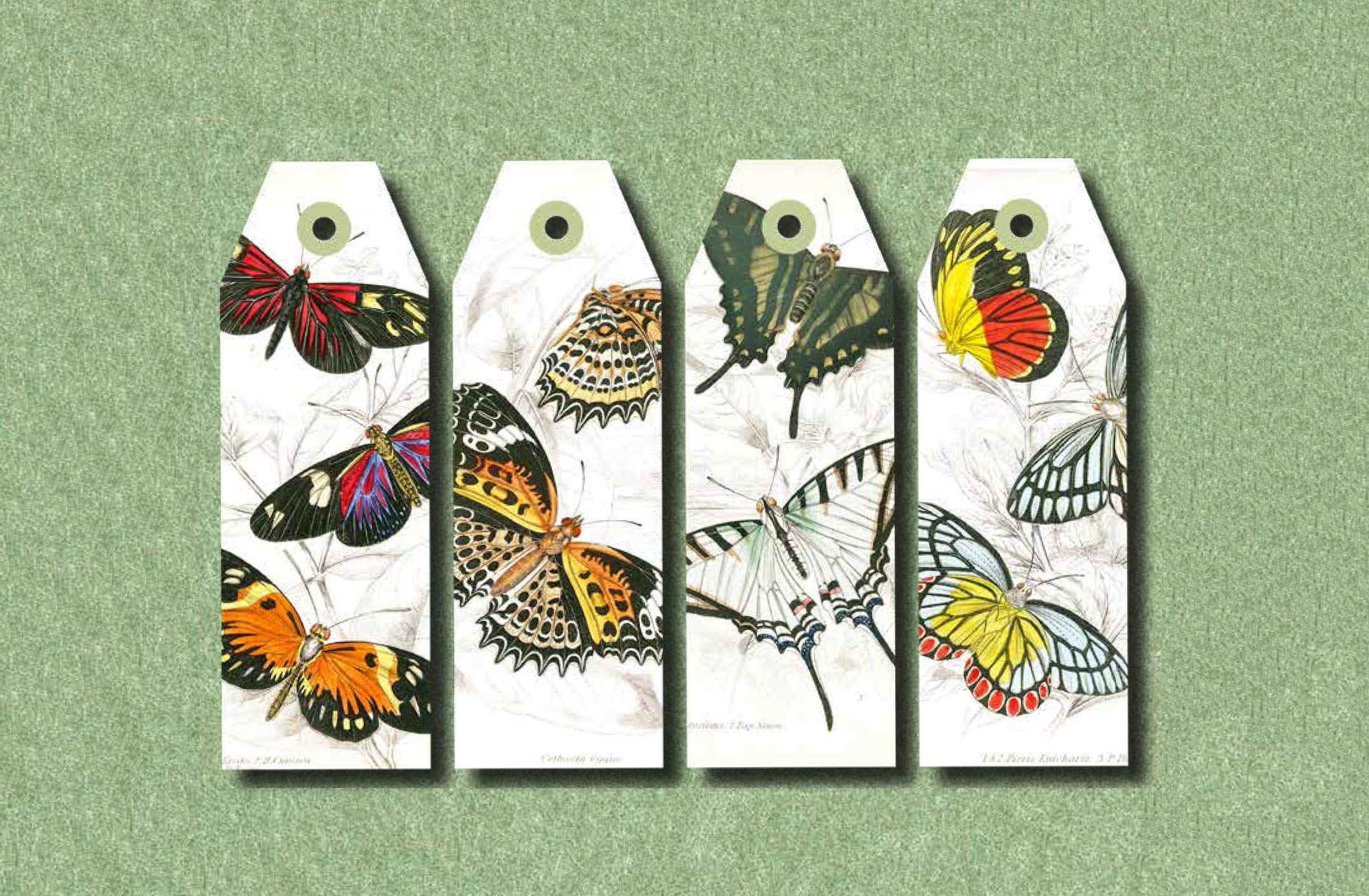 Pepin Press DIY Paper Craft Book - Natural History