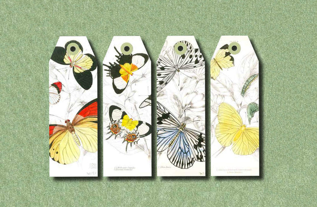 Pepin Press DIY Paper Craft Book - Natural History