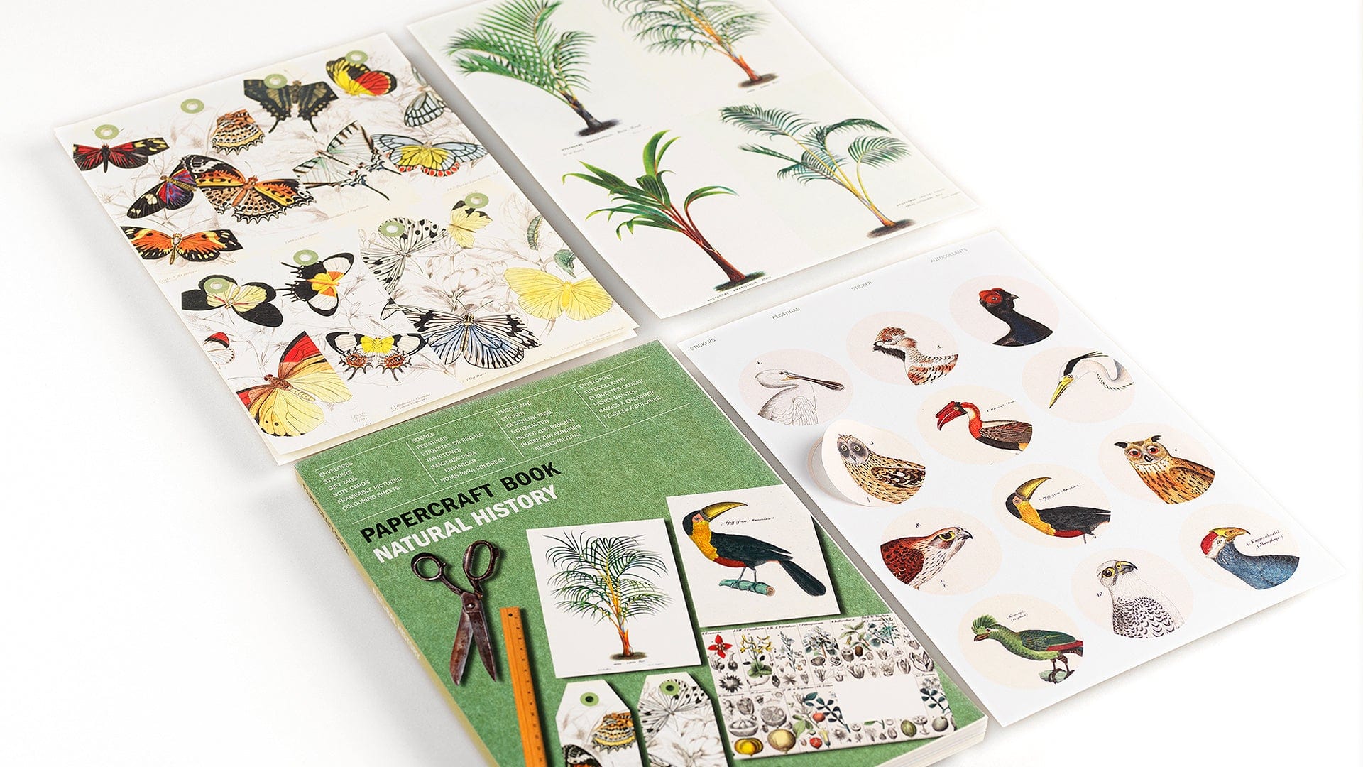 Pepin Press DIY Paper Craft Book - Natural History