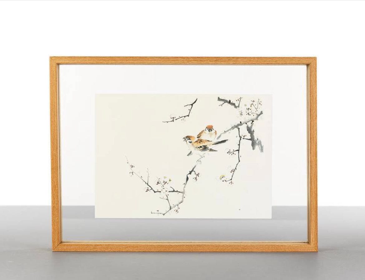 Pepin Press DIY Paper Craft Book - Natural History
