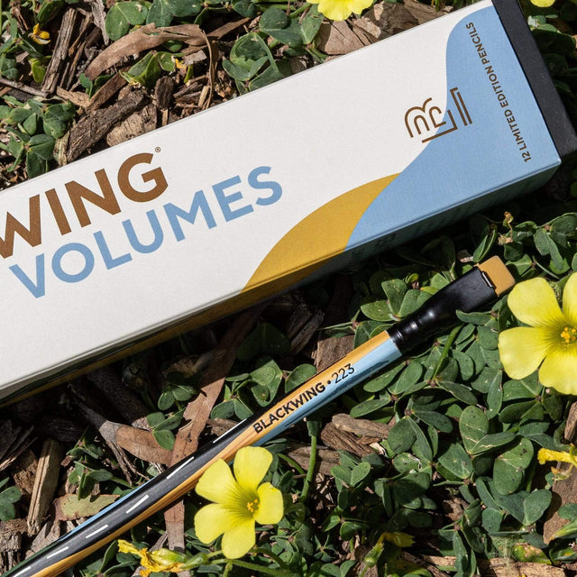 Blackwing Matite Blackwing Limited Edition Volume 223 - set da 12