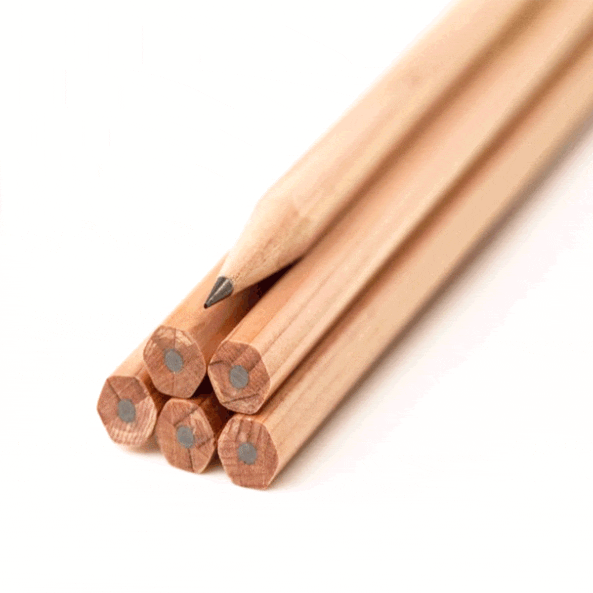 Blackwing Matite Blackwing Natural - set da 12