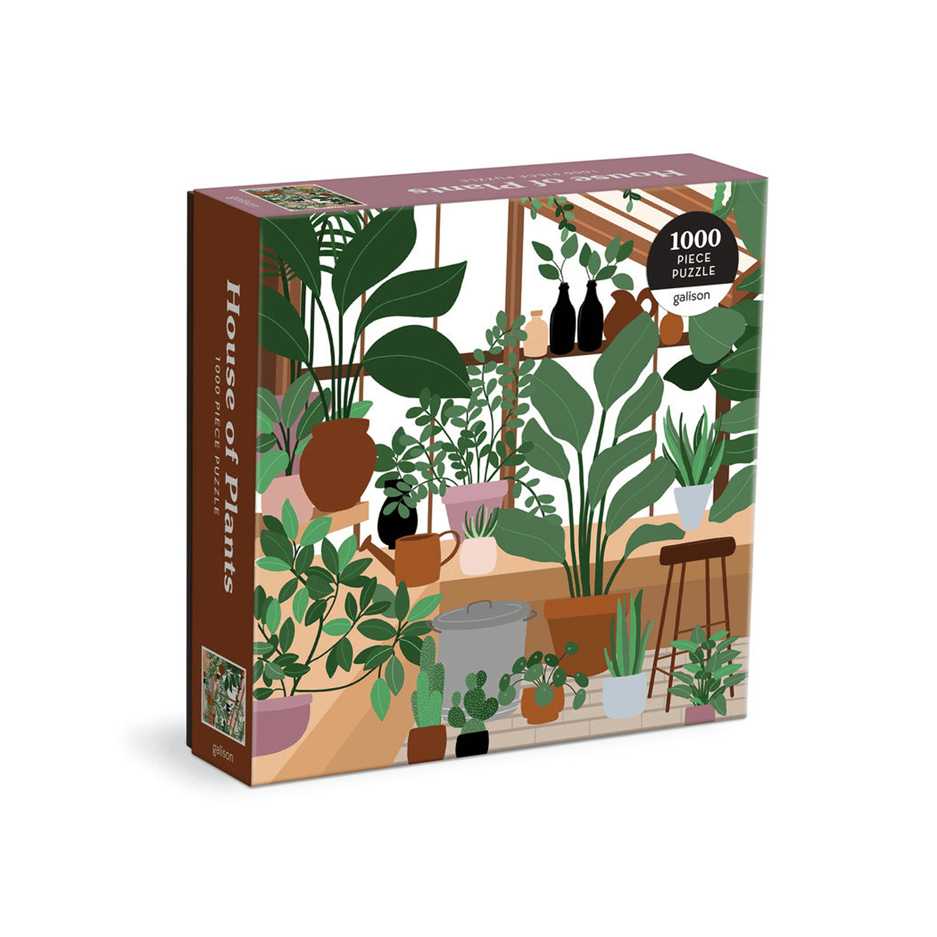 Galison Puzzle Puzzle House of Plants 1000 pezzi