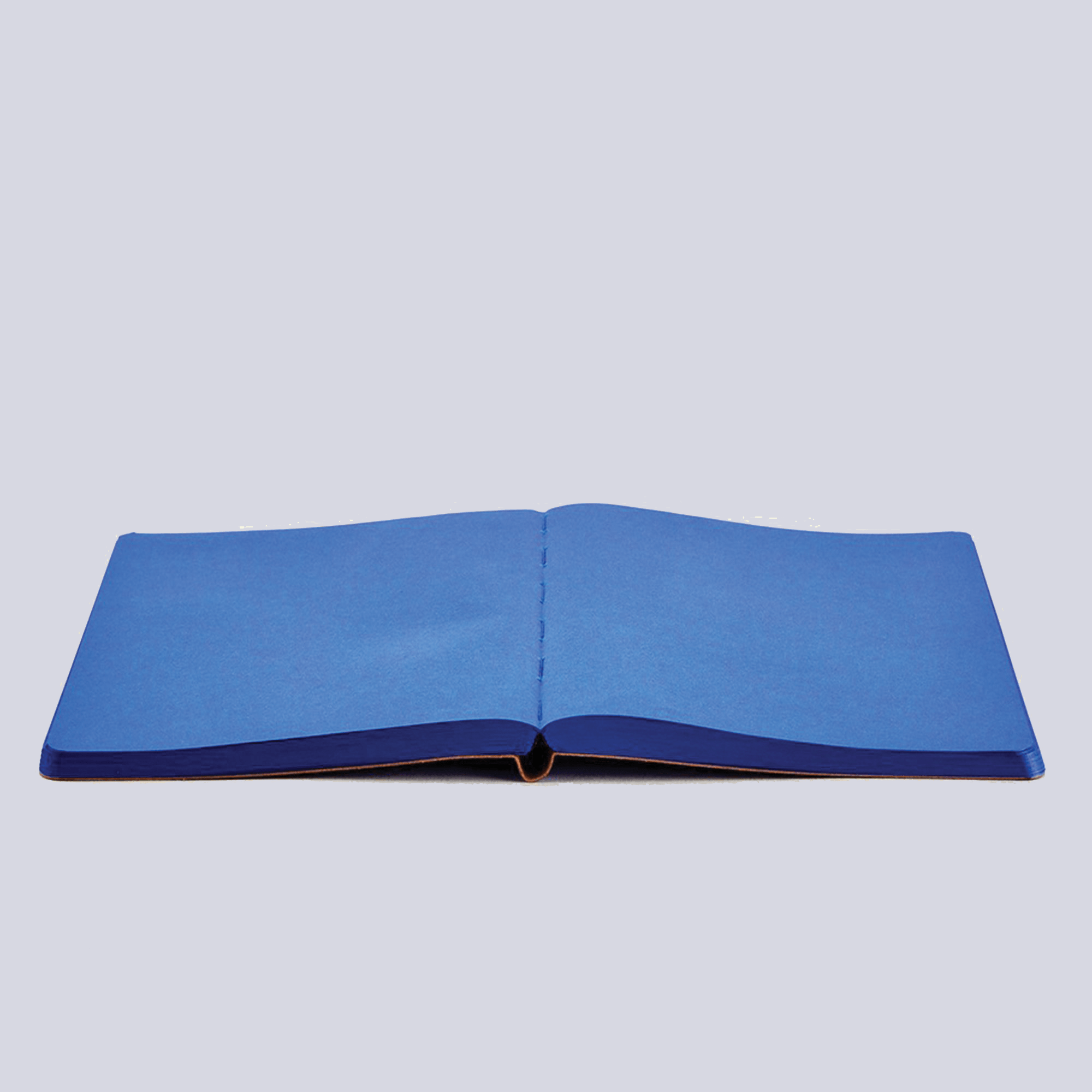 Nuuna Quaderni Nuuna Blue con elastico