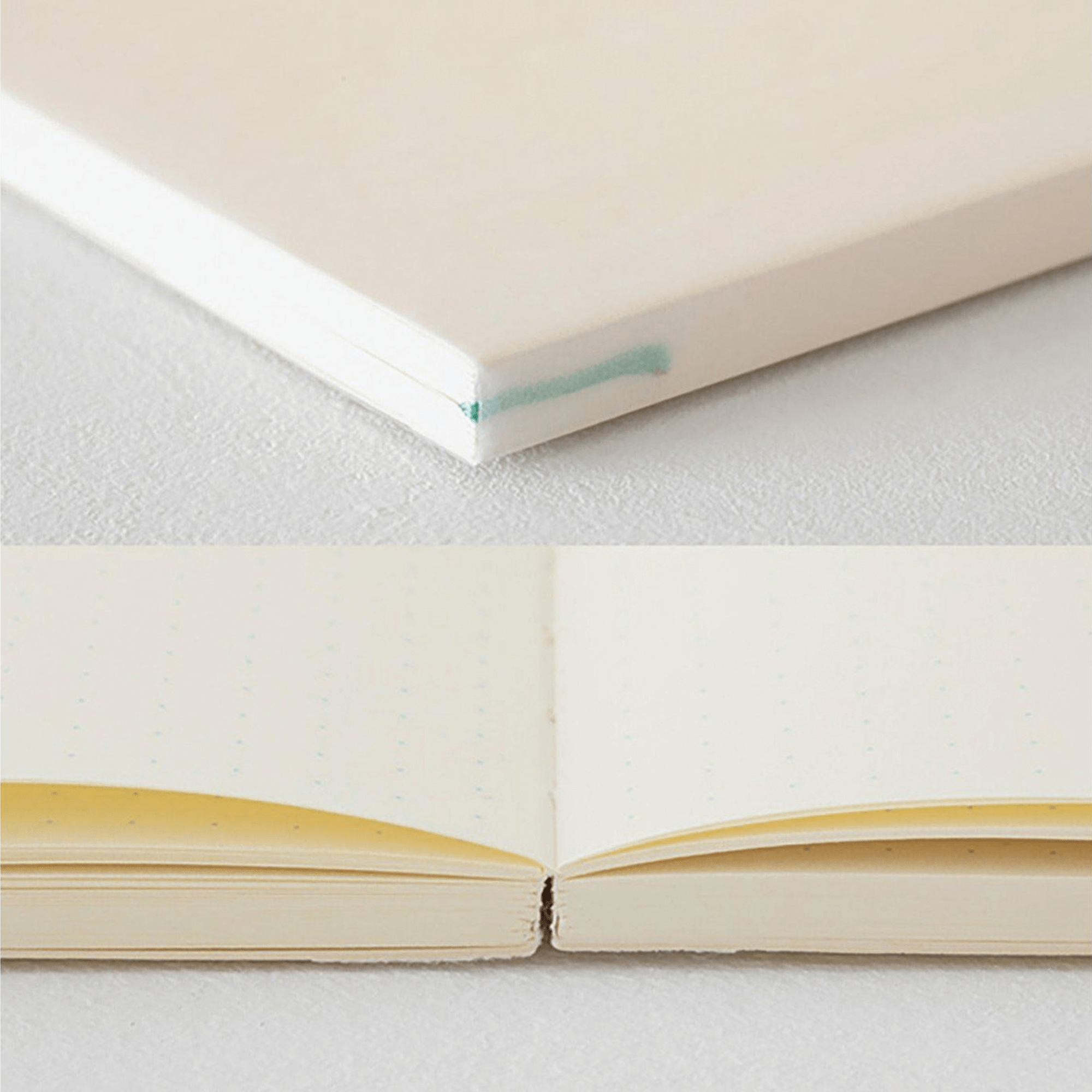 Midori Quaderno MD Journal Puntinato