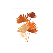 All The Way To Say Stampa small Stampa Dry Palm Leaves
