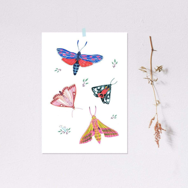 Noull Stampa Stampa Little Butterflies