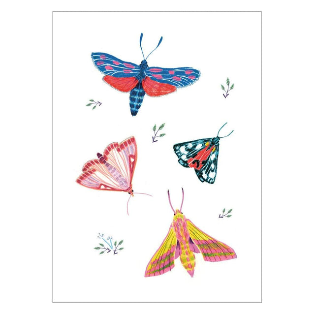 Noull Stampa Stampa Little Butterflies
