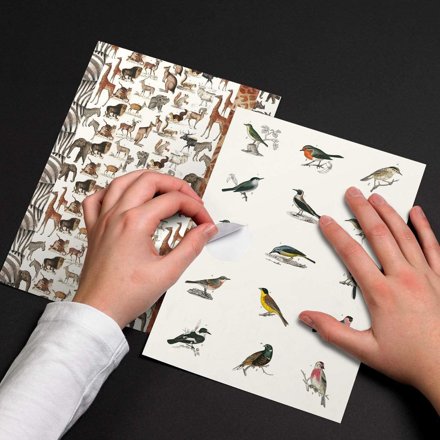 Pepin Press Stickers Stickers Book - Fauna