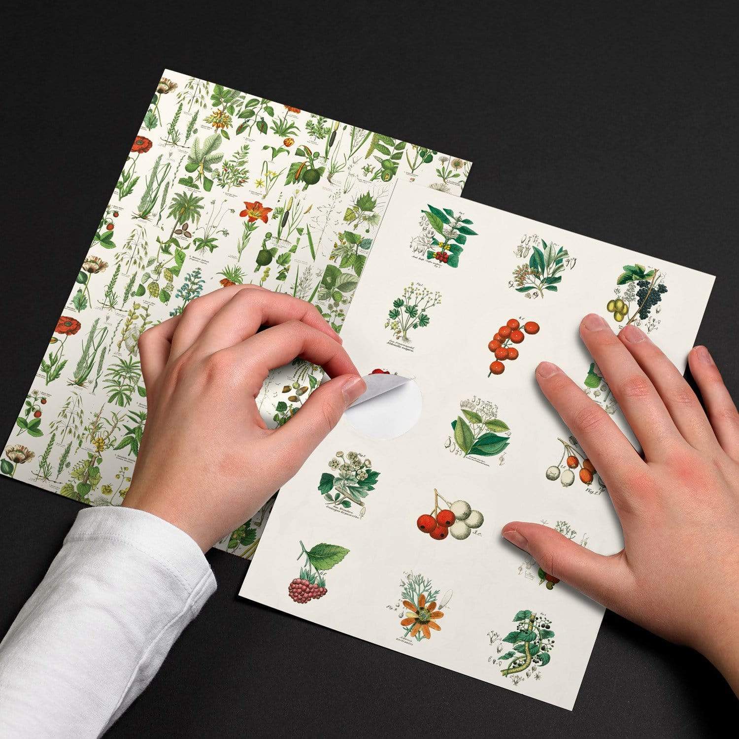 Pepin Press Stickers Stickers Book - Flora