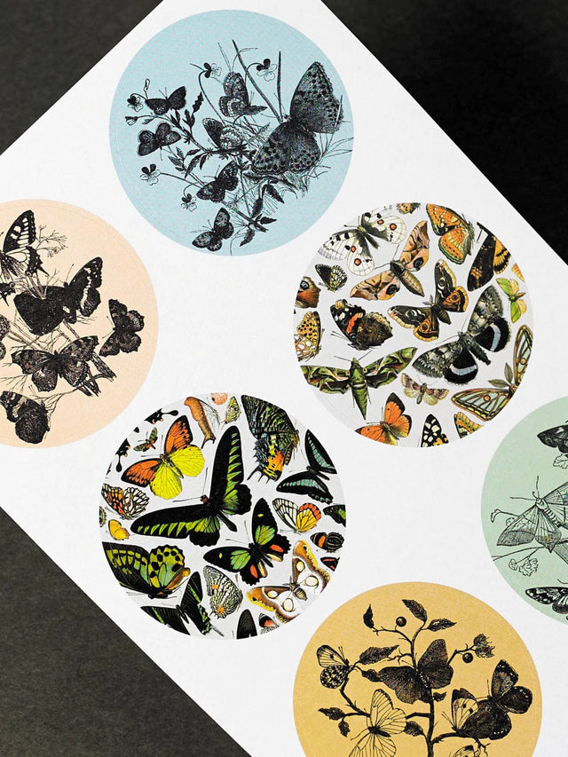Pepin Press Stickers Stickers Book - Natural History