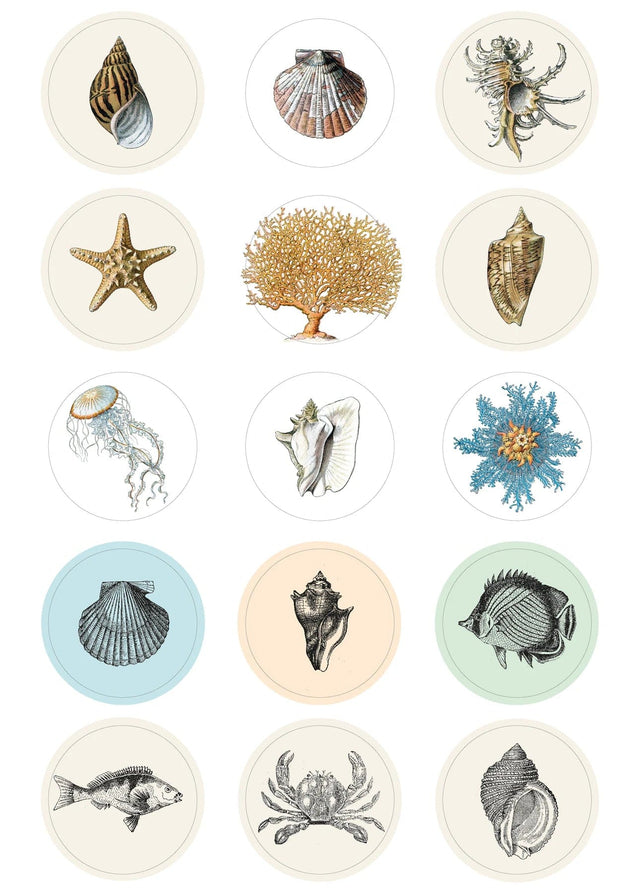 Pepin Press Stickers Stickers Book - Natural History